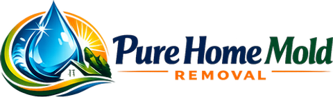 Pure Home Mold Removal